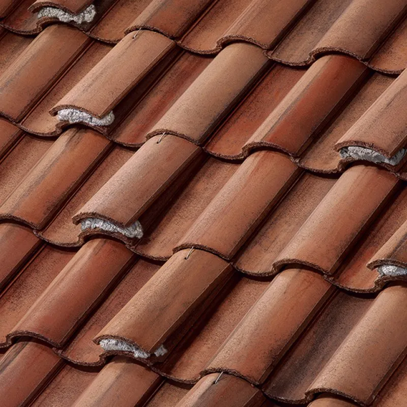 Newpoint Concrete Boosted Barcelona Caps Casa Grande Blend