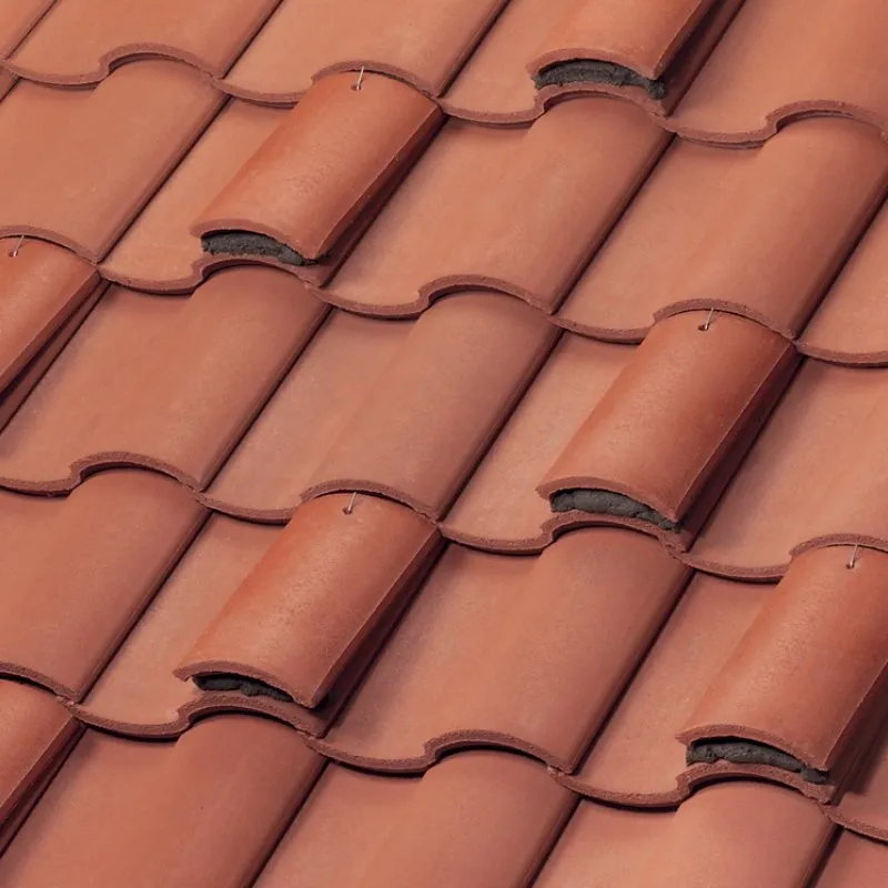 Newpoint Concrete Boosted Barcelona Caps Citrus Clay